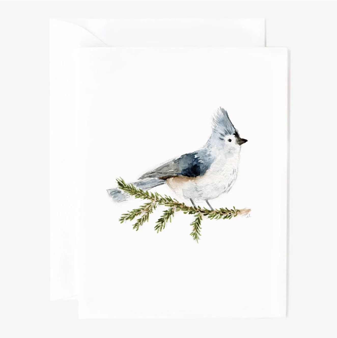 Emily Lex Assorted Winter Notecard Set of 8