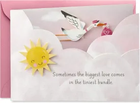 Hallmark Paper Wonder Paper Craft Baby Shower Card for Baby Girl (Stork)