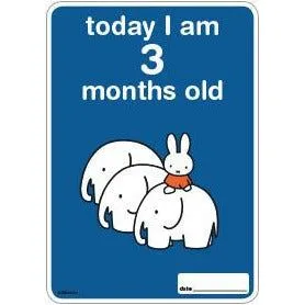 Milestone Baby Cards Miffy Edition