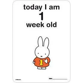 Milestone Baby Cards Miffy Edition