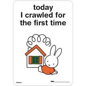 Milestone Baby Cards Miffy Edition