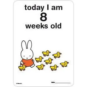 Milestone Baby Cards Miffy Edition