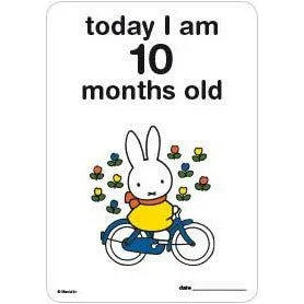 Milestone Baby Cards Miffy Edition