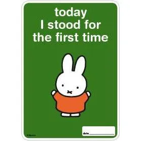 Milestone Baby Cards Miffy Edition