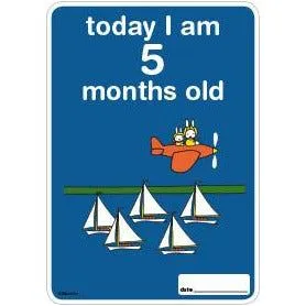 Milestone Baby Cards Miffy Edition