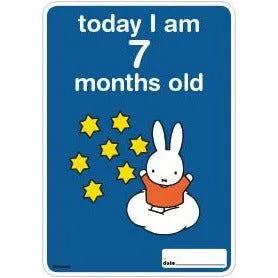 Milestone Baby Cards Miffy Edition