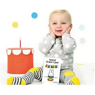 Milestone Baby Cards Miffy Edition