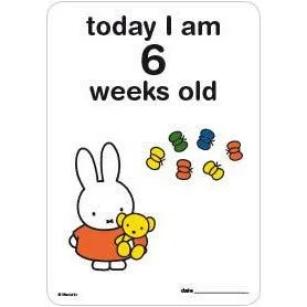 Milestone Baby Cards Miffy Edition