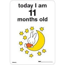 Milestone Baby Cards Miffy Edition