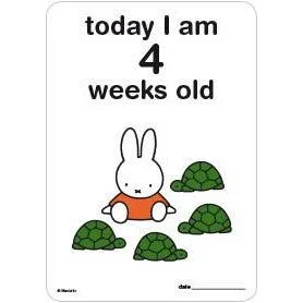 Milestone Baby Cards Miffy Edition