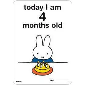 Milestone Baby Cards Miffy Edition