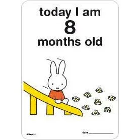 Milestone Baby Cards Miffy Edition