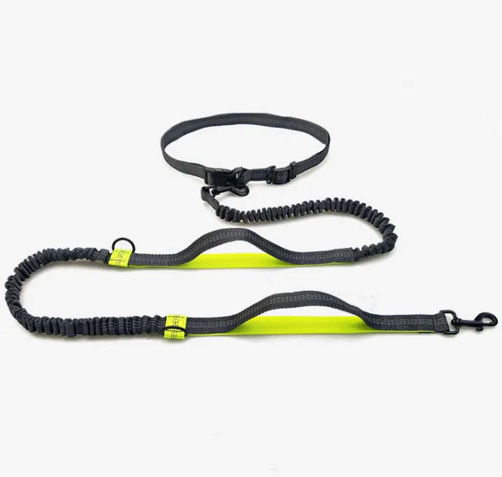 Multi Function Double Elastic Reflective Pull Dog Leash Pet Supplies