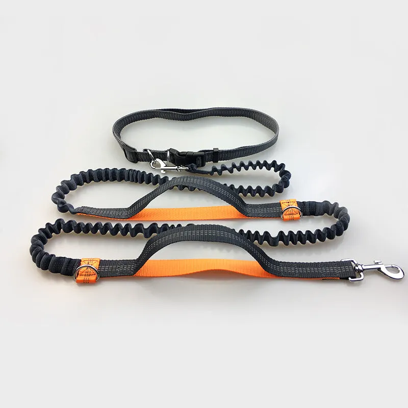 Multi Function Double Elastic Reflective Pull Dog Leash Pet Supplies