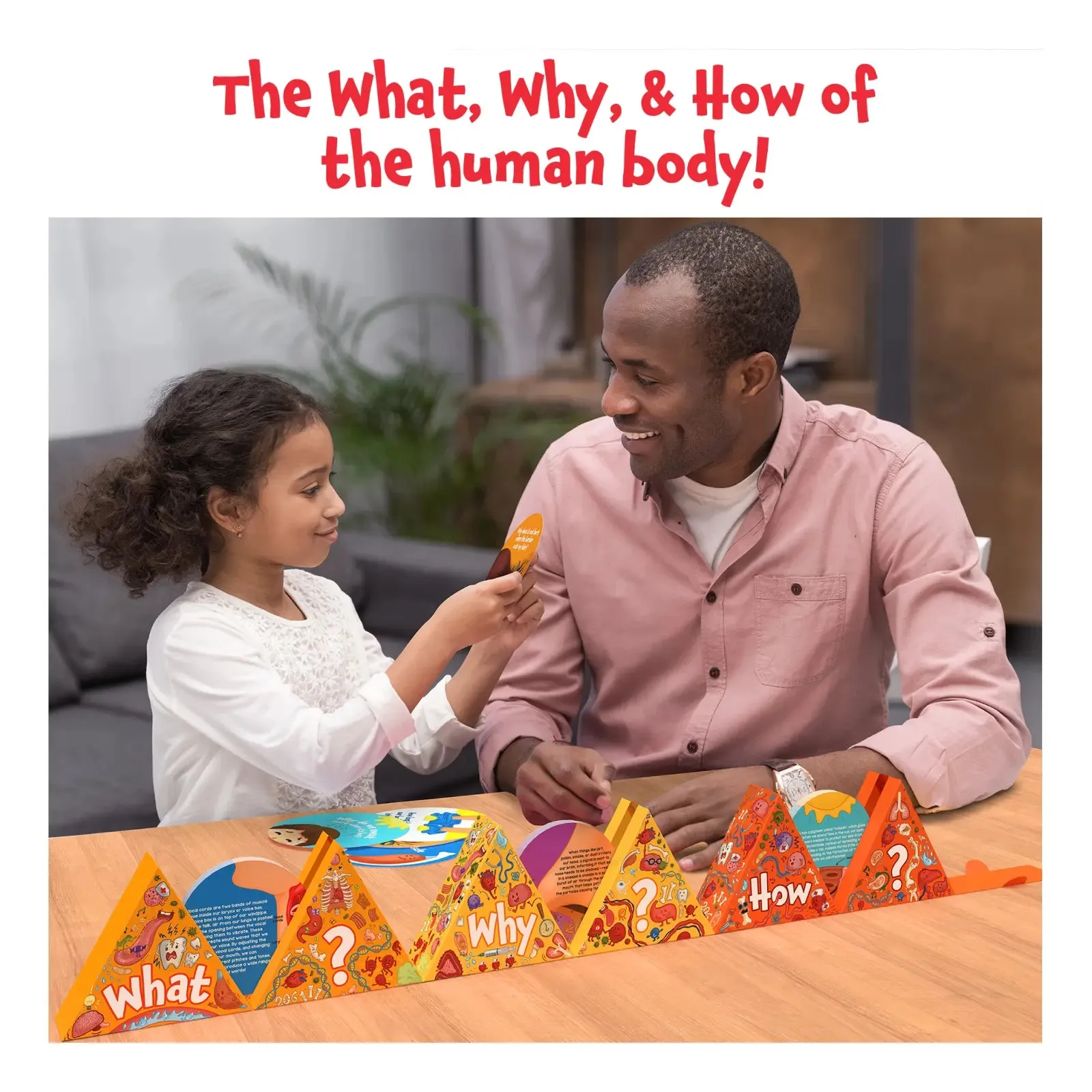 Science Snippets Kit - The Human Body (Ages 7 )