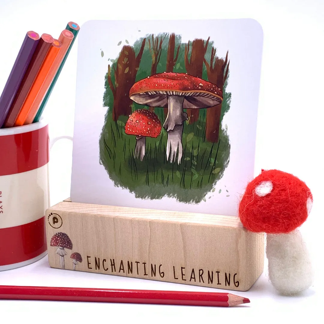 The Phive Enchanting Learning Card Stand