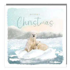 Tracks Publishing Two Polar Bears Christmas Cards - Pack of 5