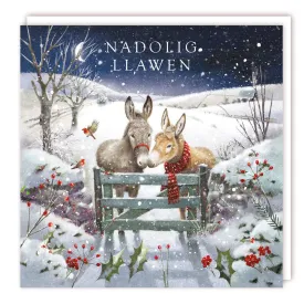 Tracks Publishing Welsh Xmas Donkey's & Robin Christmas Cards - Pack of 5