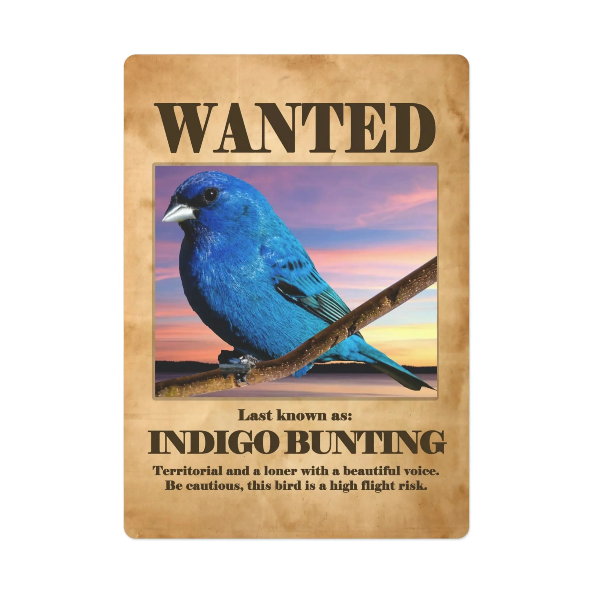 Wanted: Indigo Bunting Poker Playing Cards