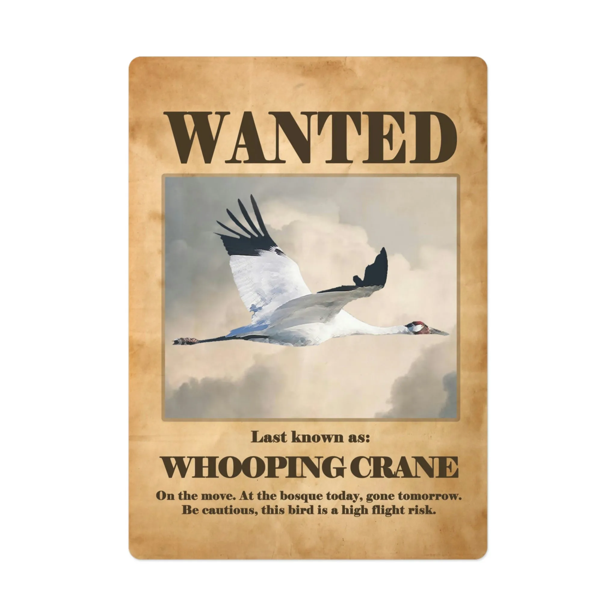 Wanted: Whooping Crane Poker Playing Cards